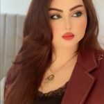 الامن الرقمي / الحان عامر